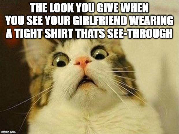 Scared Cat | THE LOOK YOU GIVE WHEN YOU SEE YOUR GIRLFRIEND WEARING A TIGHT SHIRT THATS SEE-THROUGH | image tagged in memes,scared cat | made w/ Imgflip meme maker