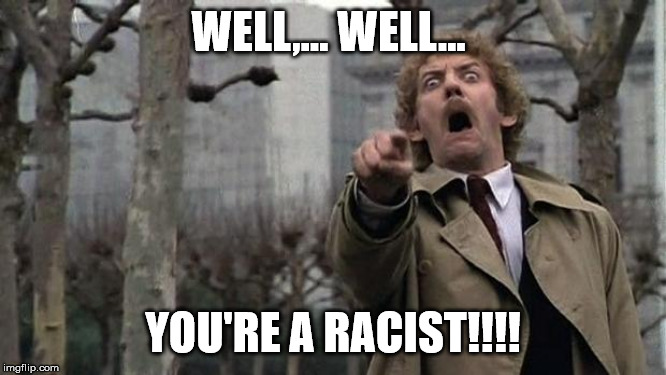 invasion of the body snatchers | WELL,... WELL... YOU'RE A RACIST!!!! | image tagged in invasion of the body snatchers | made w/ Imgflip meme maker