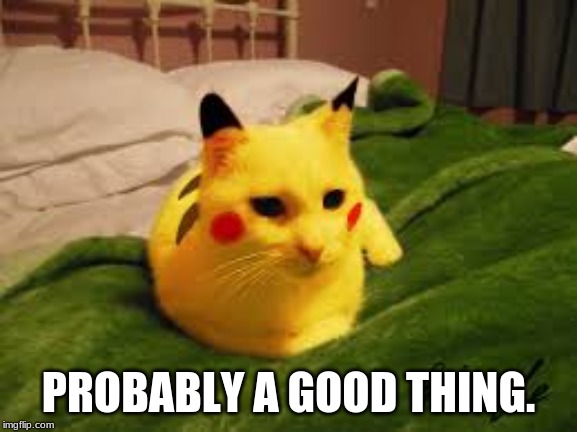 Lazy PikaCat | PROBABLY A GOOD THING. | image tagged in lazy pikacat | made w/ Imgflip meme maker