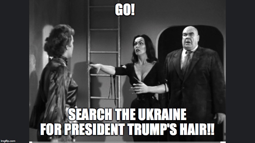 GO! SEARCH THE UKRAINE FOR PRESIDENT TRUMP'S HAIR!! | image tagged in trump | made w/ Imgflip meme maker