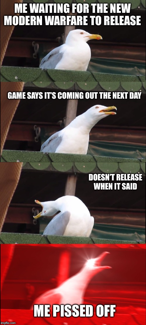 If you pre-ordered the game. | ME WAITING FOR THE NEW MODERN WARFARE TO RELEASE; GAME SAYS IT’S COMING OUT THE NEXT DAY; DOESN’T RELEASE WHEN IT SAID; ME PISSED OFF | image tagged in memes,inhaling seagull | made w/ Imgflip meme maker