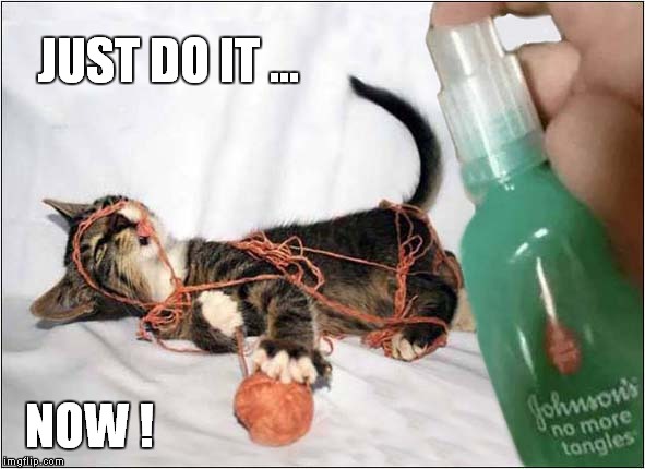 No More Tangles ? | JUST DO IT ... NOW ! | image tagged in fun,cats | made w/ Imgflip meme maker