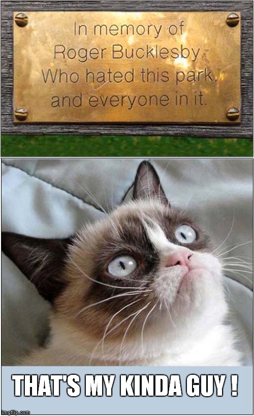 Grumpys Admiration | THAT'S MY KINDA GUY ! | image tagged in cats,grumpy cat | made w/ Imgflip meme maker