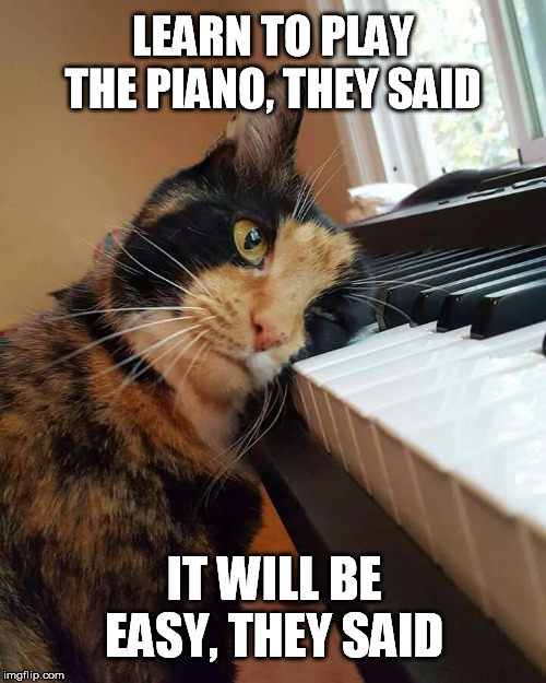 LEARN TO PLAY THE PIANO, THEY SAID; IT WILL BE EASY, THEY SAID | image tagged in piano,lesson,learning,easy,i give up | made w/ Imgflip meme maker
