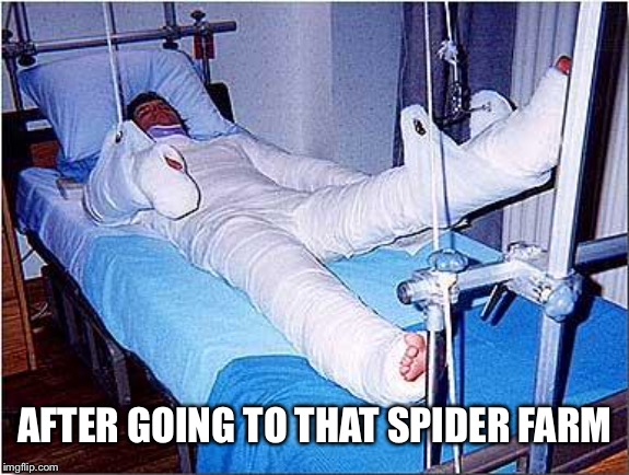 Hospital | AFTER GOING TO THAT SPIDER FARM | image tagged in hospital | made w/ Imgflip meme maker