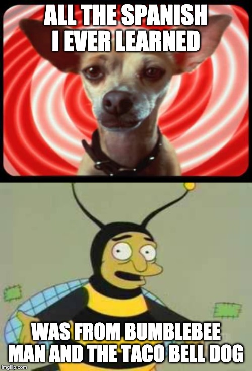 ALL THE SPANISH I EVER LEARNED; WAS FROM BUMBLEBEE MAN AND THE TACO BELL DOG | image tagged in taco bell dog,bumblebee man | made w/ Imgflip meme maker