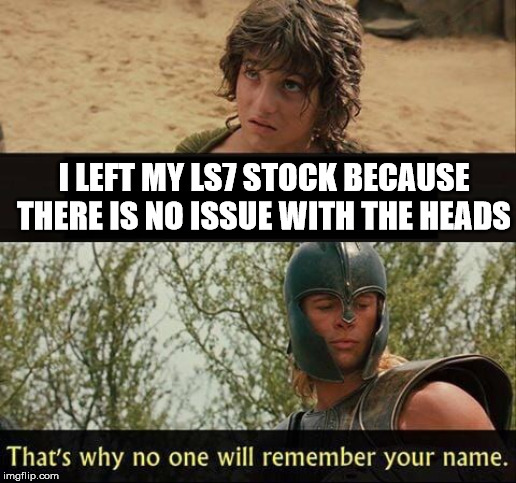 Troy no one will remember your name | I LEFT MY LS7 STOCK BECAUSE THERE IS NO ISSUE WITH THE HEADS | image tagged in troy no one will remember your name | made w/ Imgflip meme maker