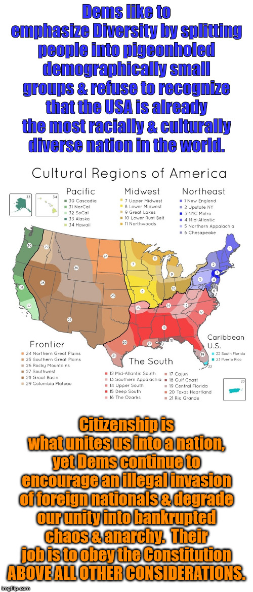 Unified Diversity | Dems like to emphasize Diversity by splitting people into pigeonholed demographically small groups & refuse to recognize that the USA is already the most racially & culturally diverse nation in the world. Citizenship is what unites us into a nation, yet Dems continue to encourage an illegal invasion of foreign nationals & degrade our unity into bankrupted chaos & anarchy.  Their job is to obey the Constitution ABOVE ALL OTHER CONSIDERATIONS. | image tagged in political,united states | made w/ Imgflip meme maker