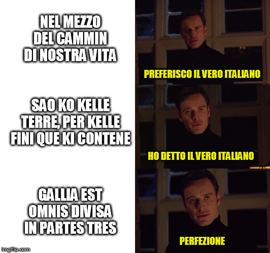 perfection | NEL MEZZO DEL CAMMIN DI NOSTRA VITA; PREFERISCO IL VERO ITALIANO; SAO KO KELLE TERRE, PER KELLE FINI QUE KI CONTENE; HO DETTO IL VERO ITALIANO; GALLIA EST OMNIS DIVISA IN PARTES TRES; PERFEZIONE | image tagged in perfection | made w/ Imgflip meme maker