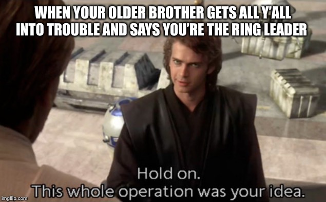 Who here grew up with older brothers? | WHEN YOUR OLDER BROTHER GETS ALL Y’ALL INTO TROUBLE AND SAYS YOU’RE THE RING LEADER | image tagged in hold on this whole operation was your idea | made w/ Imgflip meme maker