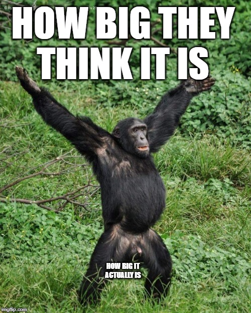 HOW BIG THEY THINK IT IS; HOW BIG IT ACTUALLY IS | image tagged in monkey,funny,funny memes | made w/ Imgflip meme maker
