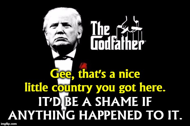 Don Trump Corleone mafia boss | Gee, that's a nice little country you got here. IT'D BE A SHAME IF ANYTHING HAPPENED TO IT. | image tagged in don trump corleone mafia boss,trump,corleone,godfather | made w/ Imgflip meme maker