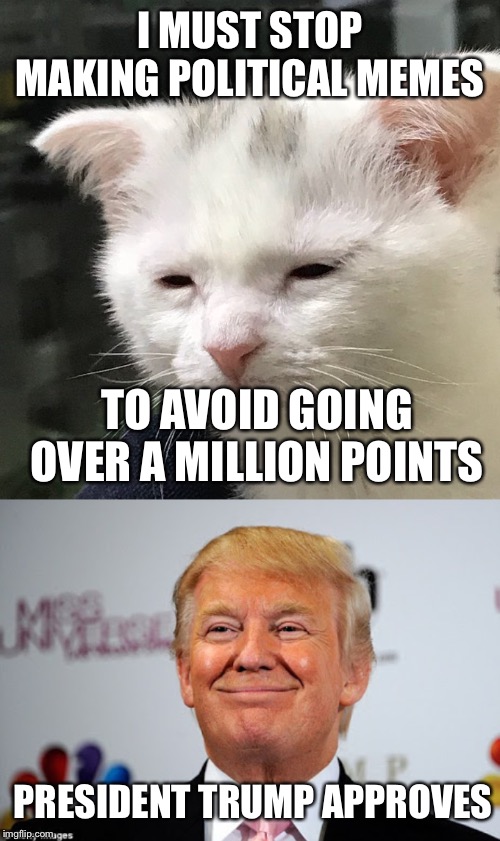 I MUST STOP MAKING POLITICAL MEMES; TO AVOID GOING OVER A MILLION POINTS; PRESIDENT TRUMP APPROVES | image tagged in donald trump approves,depressed cat | made w/ Imgflip meme maker