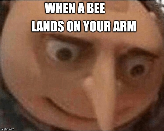 uh oh Gru | LANDS ON YOUR ARM; WHEN A BEE | image tagged in uh oh gru | made w/ Imgflip meme maker