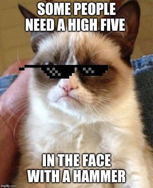 Grumpy Cat | SOME PEOPLE NEED A HIGH FIVE; IN THE FACE WITH A HAMMER | image tagged in memes,grumpy cat | made w/ Imgflip meme maker