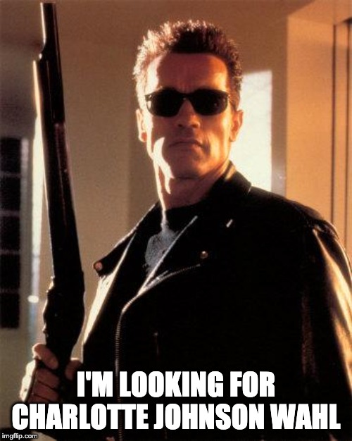 Boris | I'M LOOKING FOR CHARLOTTE JOHNSON WAHL | image tagged in boris johnson,terminator | made w/ Imgflip meme maker