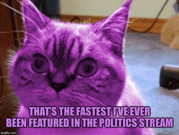 RayCat derp | THAT’S THE FASTEST I’VE EVER BEEN FEATURED IN THE POLITICS STREAM | image tagged in raycat derp | made w/ Imgflip meme maker