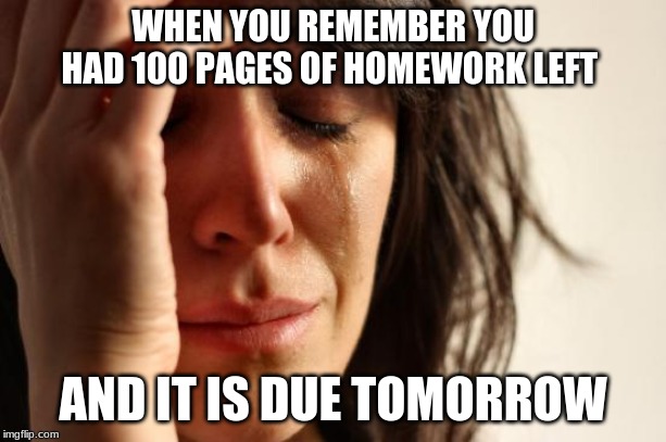 First World Problems | WHEN YOU REMEMBER YOU HAD 100 PAGES OF HOMEWORK LEFT; AND IT IS DUE TOMORROW | image tagged in memes,first world problems | made w/ Imgflip meme maker
