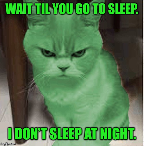 RayCat angry | WAIT TIL YOU GO TO SLEEP. I DON’T SLEEP AT NIGHT. | image tagged in raycat angry | made w/ Imgflip meme maker