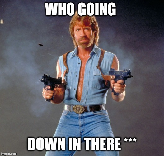 Chuck Norris Guns Meme | WHO GOING; DOWN IN THERE *** | image tagged in memes,chuck norris guns,chuck norris | made w/ Imgflip meme maker