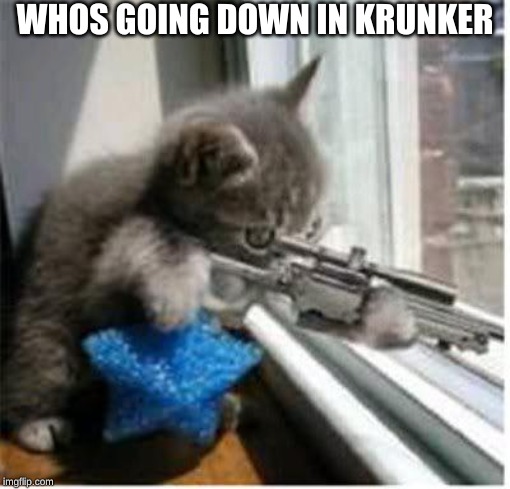 cats with guns | WHOS GOING DOWN IN KRUNKER | image tagged in cats with guns | made w/ Imgflip meme maker