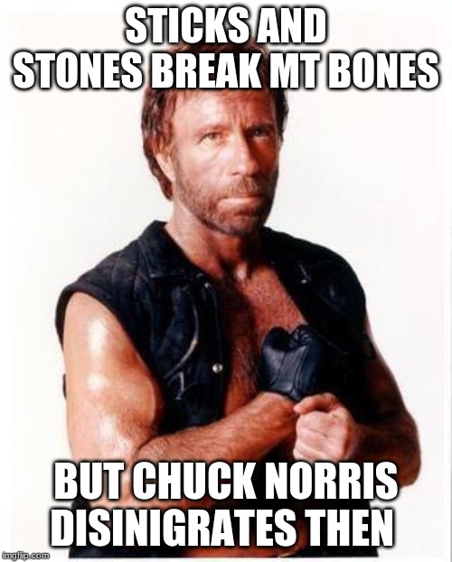 chuck breaks u | STICKS AND STONES BREAK MT BONES; BUT CHUCK NORRIS DISINTEGRATES THEN | image tagged in memes,chuck norris flex,chuck norris | made w/ Imgflip meme maker