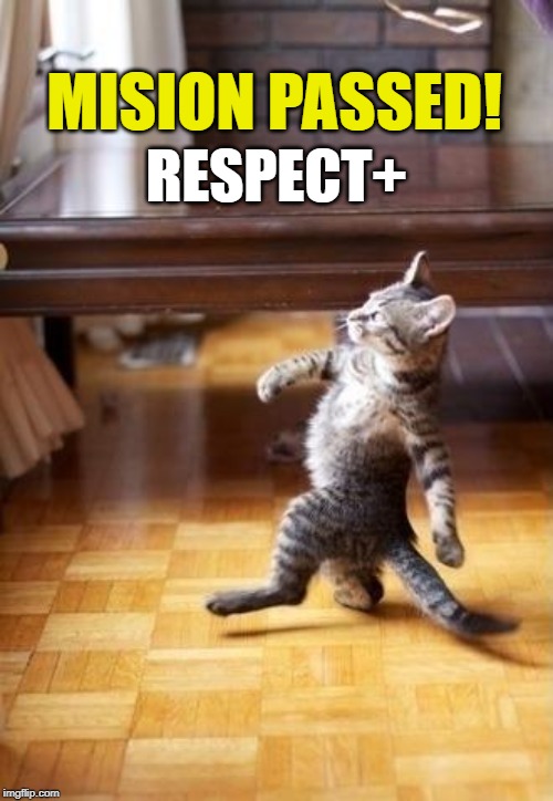 Cool Cat Stroll | RESPECT+; MISION PASSED! | image tagged in memes,cool cat stroll | made w/ Imgflip meme maker