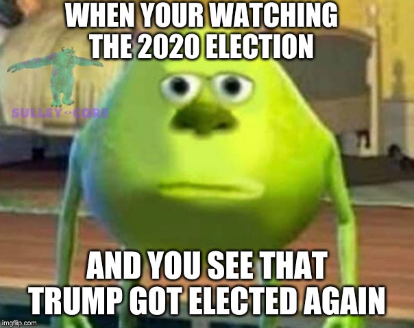 Monsters Inc | WHEN YOUR WATCHING THE 2020 ELECTION; AND YOU SEE THAT TRUMP GOT ELECTED AGAIN | image tagged in monsters inc | made w/ Imgflip meme maker