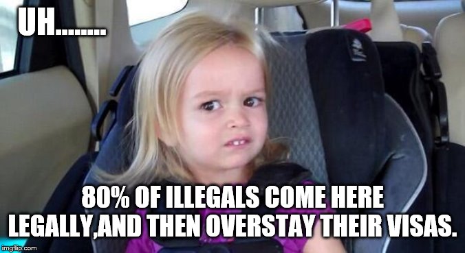 wtf girl | UH...….. 80% OF ILLEGALS COME HERE LEGALLY,AND THEN OVERSTAY THEIR VISAS. | image tagged in wtf girl | made w/ Imgflip meme maker