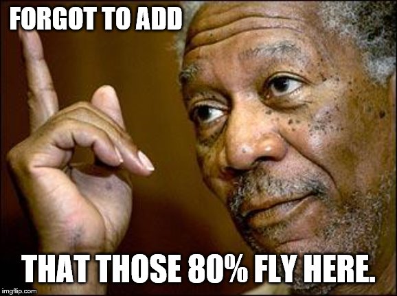 This Morgan Freeman | FORGOT TO ADD THAT THOSE 80% FLY HERE. | image tagged in this morgan freeman | made w/ Imgflip meme maker