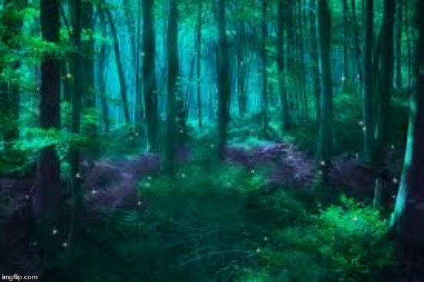 The Magic Forest Roleplay | image tagged in roleplaying,forest | made w/ Imgflip meme maker