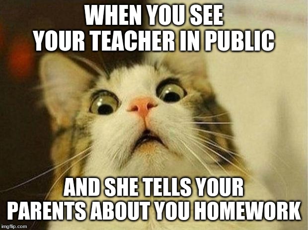 Scared Cat Meme | WHEN YOU SEE YOUR TEACHER IN PUBLIC; AND SHE TELLS YOUR PARENTS ABOUT YOU HOMEWORK | image tagged in memes,scared cat | made w/ Imgflip meme maker