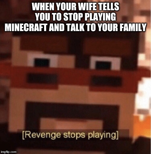 wat | WHEN YOUR WIFE TELLS YOU TO STOP PLAYING MINECRAFT AND TALK TO YOUR FAMILY | image tagged in wat | made w/ Imgflip meme maker