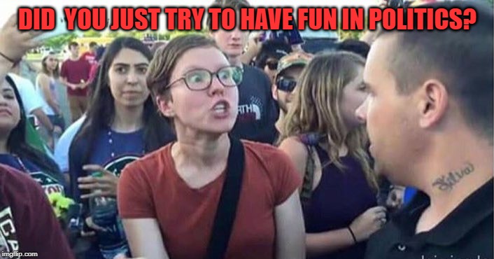 Did you just assume my gender | DID  YOU JUST TRY TO HAVE FUN IN POLITICS? | image tagged in did you just assume my gender | made w/ Imgflip meme maker