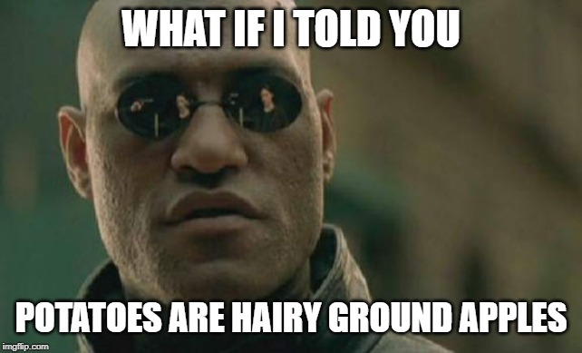 Matrix Morpheus |  WHAT IF I TOLD YOU; POTATOES ARE HAIRY GROUND APPLES | image tagged in memes,matrix morpheus | made w/ Imgflip meme maker