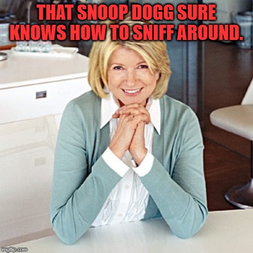martha stewart | THAT SNOOP DOGG SURE KNOWS HOW TO SNIFF AROUND. | image tagged in martha stewart | made w/ Imgflip meme maker