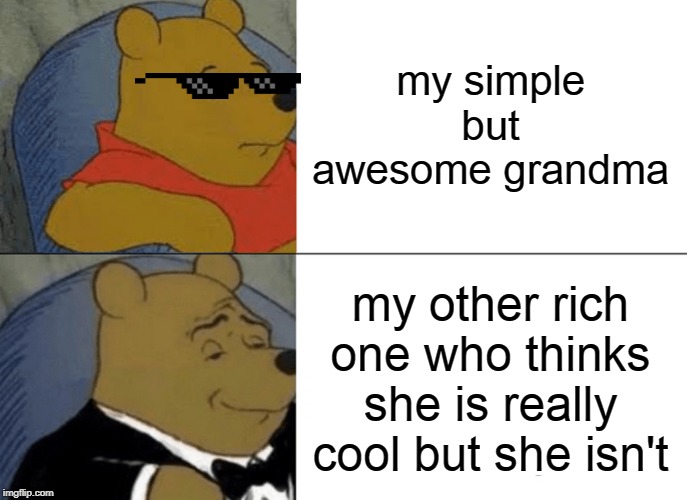 Tuxedo Winnie The Pooh |  my simple but awesome grandma; my other rich one who thinks she is really cool but she isn't | image tagged in memes,tuxedo winnie the pooh | made w/ Imgflip meme maker