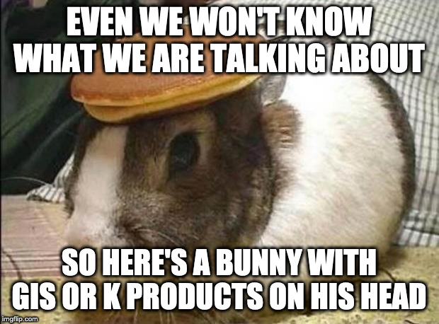 bunny pancake | EVEN WE WON'T KNOW
WHAT WE ARE TALKING ABOUT; SO HERE'S A BUNNY WITH GIS OR K PRODUCTS ON HIS HEAD | image tagged in bunny pancake | made w/ Imgflip meme maker