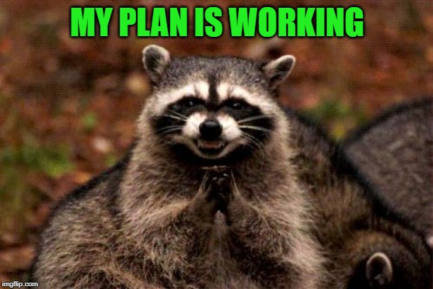 Evil Plotting Raccoon Meme | MY PLAN IS WORKING | image tagged in memes,evil plotting raccoon | made w/ Imgflip meme maker