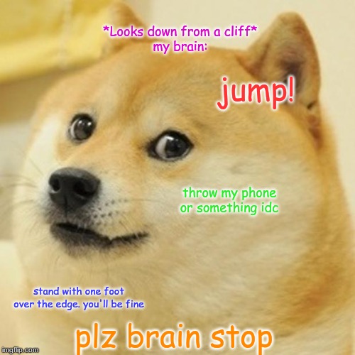 hey brain, plz stop im not suicidal. | *Looks down from a cliff*
my brain:; jump! throw my phone or something idc; stand with one foot over the edge. you'll be fine; plz brain stop | image tagged in memes,doge | made w/ Imgflip meme maker