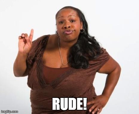 RUDE! | image tagged in sassy | made w/ Imgflip meme maker