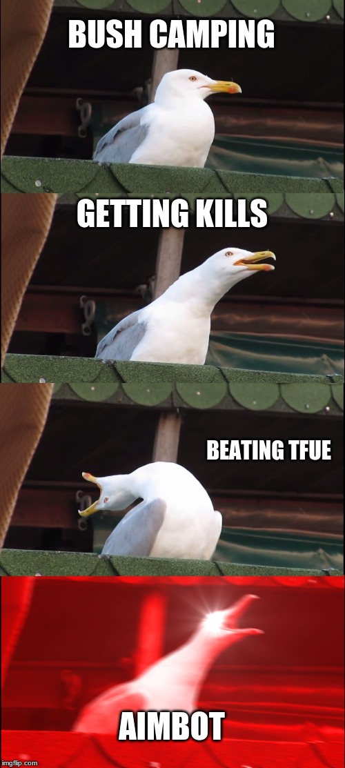 Inhaling Seagull Meme | BUSH CAMPING; GETTING KILLS; BEATING TFUE; AIMBOT | image tagged in memes,inhaling seagull | made w/ Imgflip meme maker