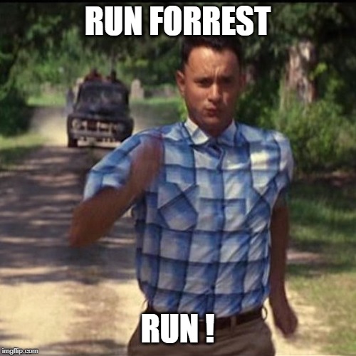 run forest run | RUN FORREST RUN ! | image tagged in run forest run | made w/ Imgflip meme maker