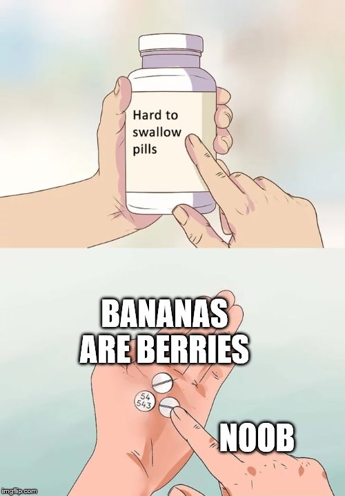Hard To Swallow Pills | BANANAS ARE BERRIES; NOOB | image tagged in memes,hard to swallow pills | made w/ Imgflip meme maker