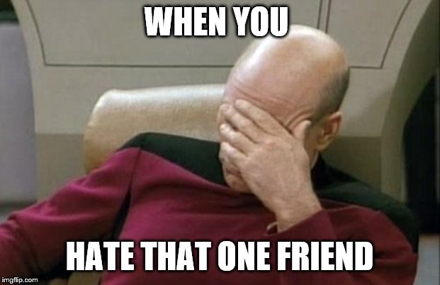 Captain Picard Facepalm Meme | WHEN YOU; HATE THAT ONE FRIEND | image tagged in memes,captain picard facepalm | made w/ Imgflip meme maker