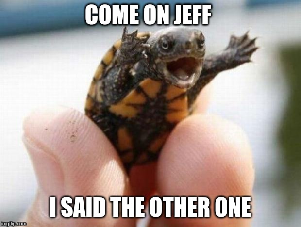 happy baby turtle | COME ON JEFF; I SAID THE OTHER ONE | image tagged in happy baby turtle | made w/ Imgflip meme maker