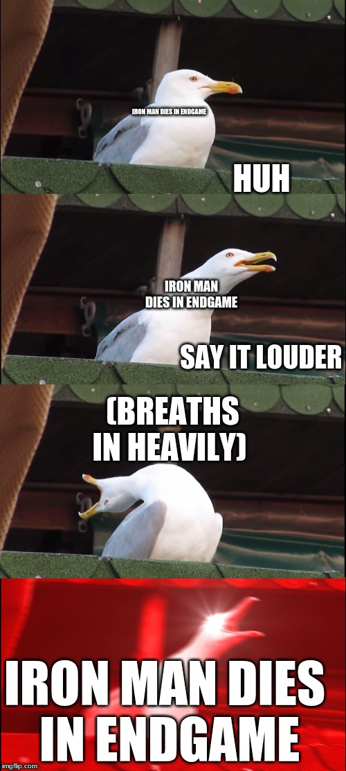Inhaling Seagull | IRON MAN DIES IN ENDGAME; HUH; IRON MAN DIES IN ENDGAME; SAY IT LOUDER; (BREATHS IN HEAVILY); IRON MAN DIES 



IN ENDGAME | image tagged in memes,inhaling seagull | made w/ Imgflip meme maker