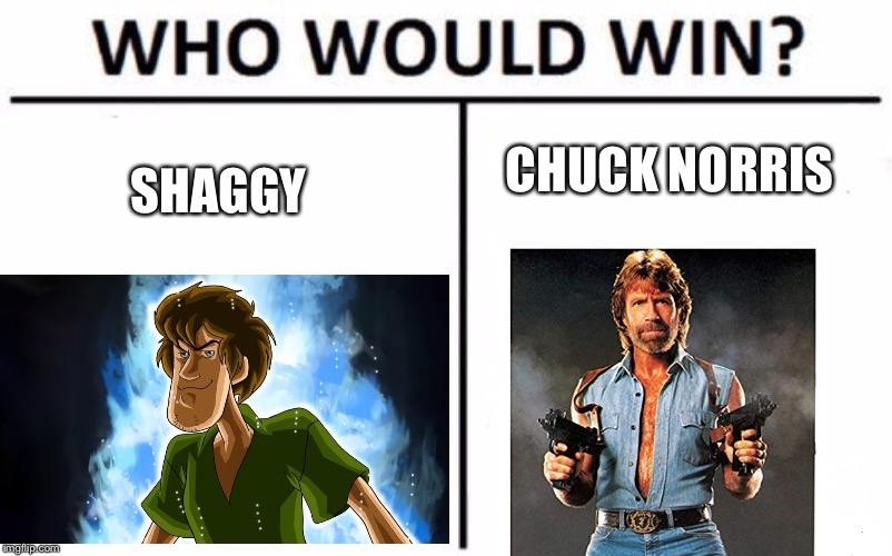 Who Would Win? | SHAGGY; CHUCK NORRIS | image tagged in memes,who would win,shaggy,shaggy meme,chuck norris | made w/ Imgflip meme maker