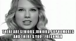 tay1 | THERE ARE SENIORS,JUNIORS,SOPHOMORES AND THERE'S YOU...FRESHMAN | image tagged in gifs | made w/ Imgflip video-to-gif maker