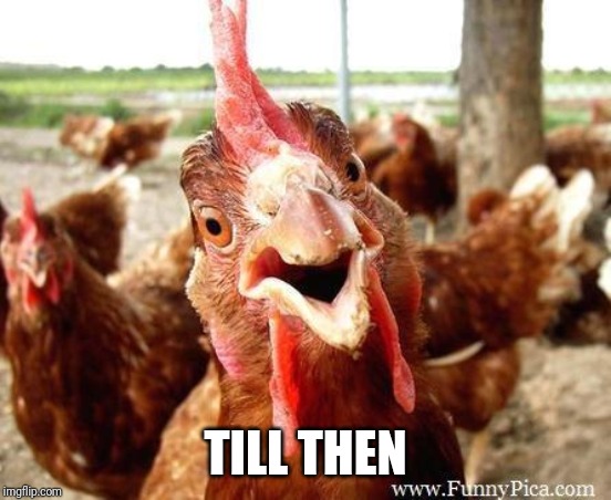 Chicken | TILL THEN | image tagged in chicken | made w/ Imgflip meme maker